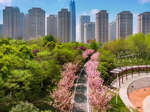 產(chǎn)城人文 深度融合 泛海武漢cbd打造未來金融產(chǎn)業(yè)城區(qū)樣本