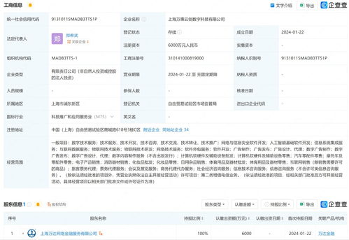 萬達在上海成立數(shù)字科技公司 含互聯(lián)網(wǎng)銷售業(yè)務(wù)