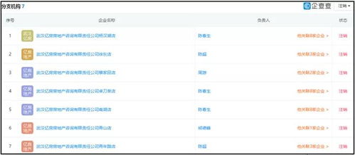 湖北消金合作方為客戶擔保引發關注，法院判決書揭示最高收取2%服務費